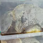 Akre Honey